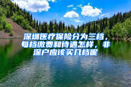 深圳医疗保险分为三档，每档缴费和待遇怎样，非深户应该买几档呢