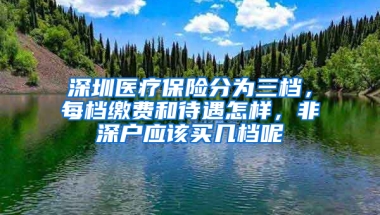 深圳医疗保险分为三档，每档缴费和待遇怎样，非深户应该买几档呢