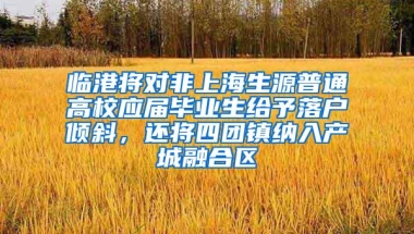 临港将对非上海生源普通高校应届毕业生给予落户倾斜，还将四团镇纳入产城融合区