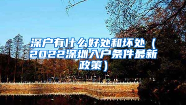 深户有什么好处和坏处（2022深圳入户条件最新政策）