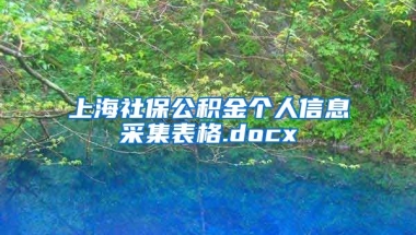 上海社保公积金个人信息采集表格.docx