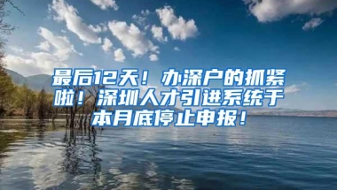 最后12天！办深户的抓紧啦！深圳人才引进系统于本月底停止申报！