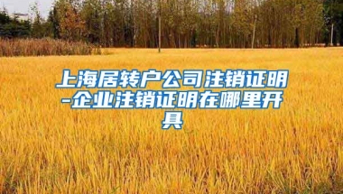 上海居转户公司注销证明-企业注销证明在哪里开具