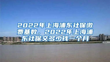 2022年上海浦东社保缴费基数，2022年上海浦东社保交多少钱一个月