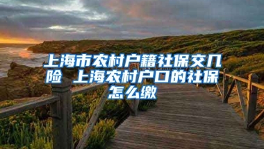 上海市农村户籍社保交几险 上海农村户口的社保怎么缴