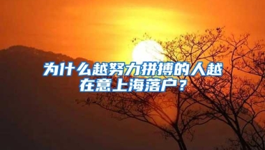 为什么越努力拼搏的人越在意上海落户？