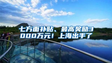 七方面补贴、最高奖励3000万元！上海出手了