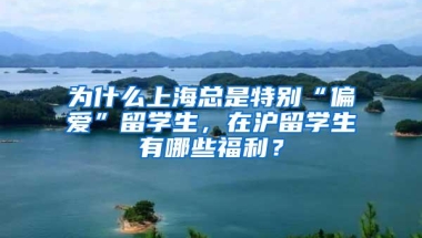 为什么上海总是特别“偏爱”留学生，在沪留学生有哪些福利？