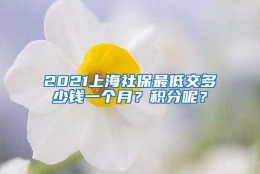 2021上海社保最低交多少钱一个月？积分呢？