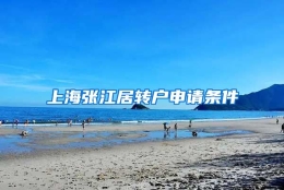 上海张江居转户申请条件