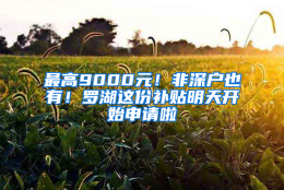 最高9000元！非深户也有！罗湖这份补贴明天开始申请啦