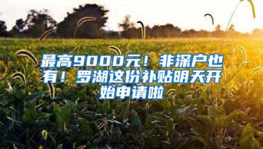 最高9000元！非深户也有！罗湖这份补贴明天开始申请啦