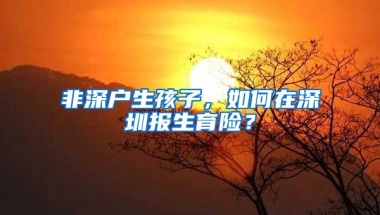 非深户生孩子，如何在深圳报生育险？