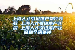 上海人才引进落户条件分数 上海人才引进落户买房 上海人才引进落户社保和个税条件