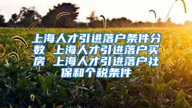 上海人才引进落户条件分数 上海人才引进落户买房 上海人才引进落户社保和个税条件