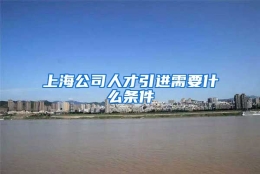 上海公司人才引进需要什么条件