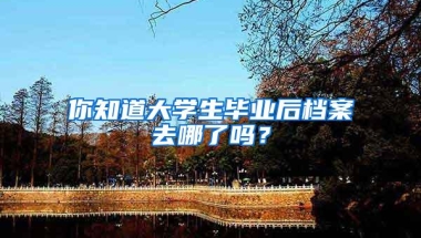 你知道大学生毕业后档案去哪了吗？