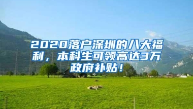 2020落户深圳的八大福利，本科生可领高达3万政府补贴！