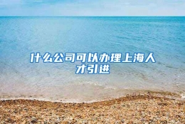 什么公司可以办理上海人才引进