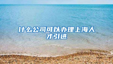 什么公司可以办理上海人才引进