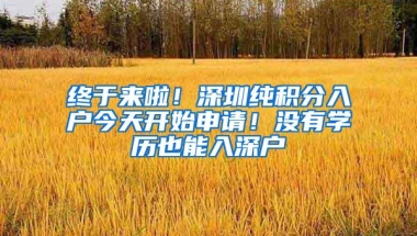 终于来啦！深圳纯积分入户今天开始申请！没有学历也能入深户