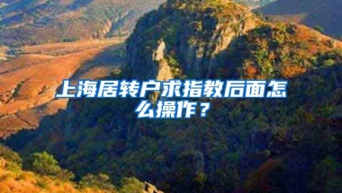 上海居转户求指教后面怎么操作？