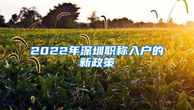 2022年深圳职称入户的新政策