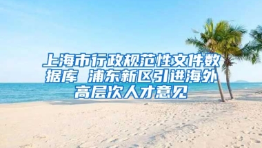 上海市行政规范性文件数据库 浦东新区引进海外高层次人才意见