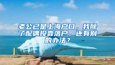 老公已是上海户口，我除了配偶投靠落户，还有别的办法？