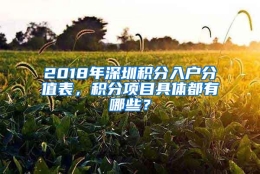 2018年深圳积分入户分值表，积分项目具体都有哪些？