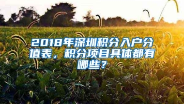 2018年深圳积分入户分值表，积分项目具体都有哪些？