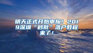 明天正式开始申报！2019深圳“秒批”落户教程来了！