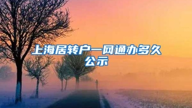 上海居转户一网通办多久公示