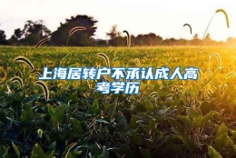 上海居转户不承认成人高考学历