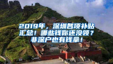 2019年，深圳各项补贴汇总！哪些钱你还没领？非深户也有钱拿！