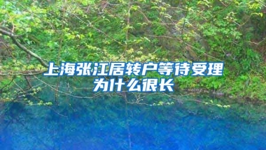 上海张江居转户等待受理为什么很长