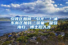 引领区如何“引才”？浦东新区加码“筑巢”吸引海归、博士后人才