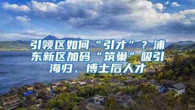 引领区如何“引才”？浦东新区加码“筑巢”吸引海归、博士后人才