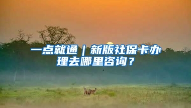 一点就通｜新版社保卡办理去哪里咨询？