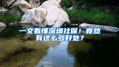 一文看懂深圳社保！竟然有这么多好处？