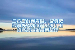 三方面创新突破，吸引更多海外人才落户上海丨上海高质量发展调研行