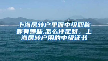 上海居转户里面中级职称都有哪些,怎么评定呀，上海居转户用的中级证书