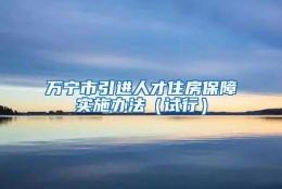 万宁市引进人才住房保障实施办法（试行）