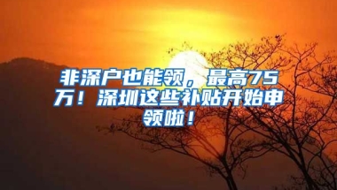 非深户也能领，最高75万！深圳这些补贴开始申领啦！