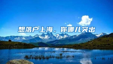 想落户上海，你哪儿突出？