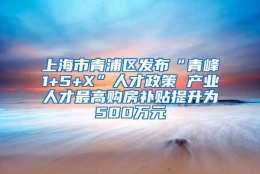 上海市青浦区发布“青峰1+5+X”人才政策 产业人才最高购房补贴提升为500万元