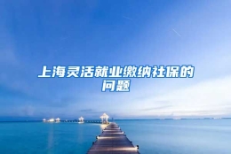 上海灵活就业缴纳社保的问题