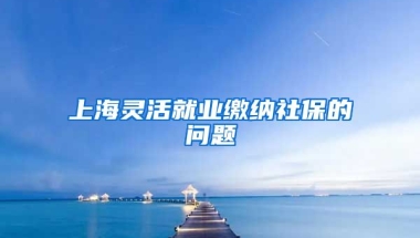 上海灵活就业缴纳社保的问题