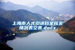 上海市人才引进档案核实情况表空表.docx