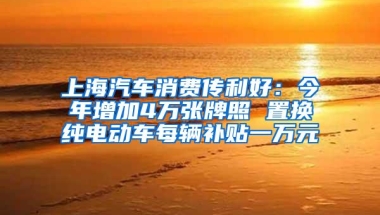 上海汽车消费传利好：今年增加4万张牌照 置换纯电动车每辆补贴一万元